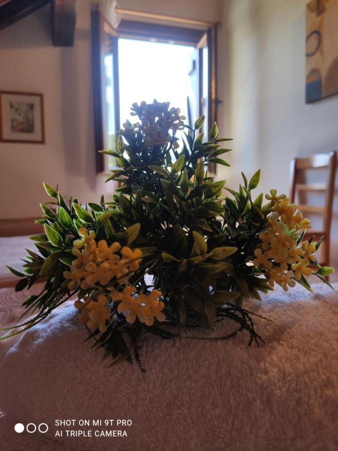 Goizeder Apartament Espinal-Auzperri