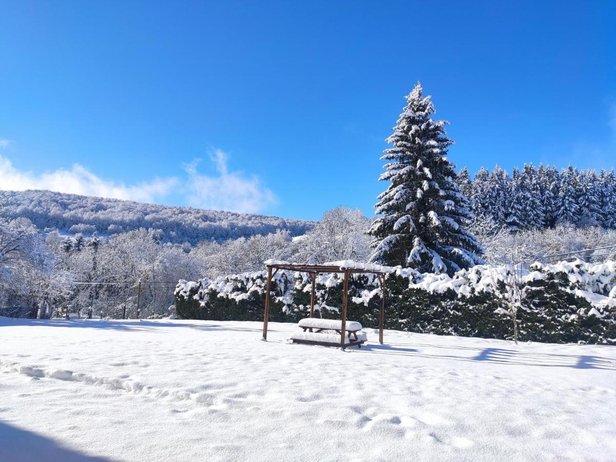 Apartament Goizeder *