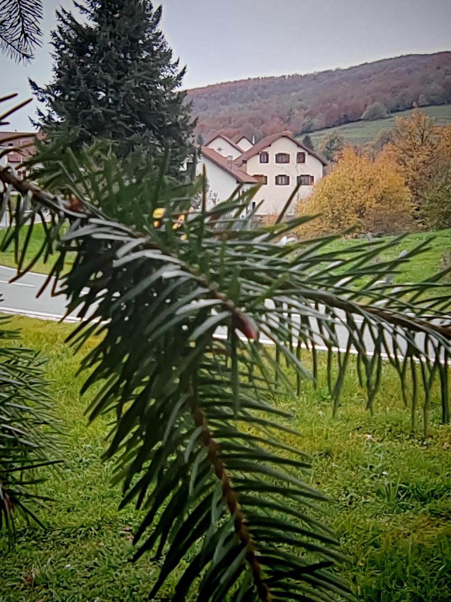Apartament Goizeder