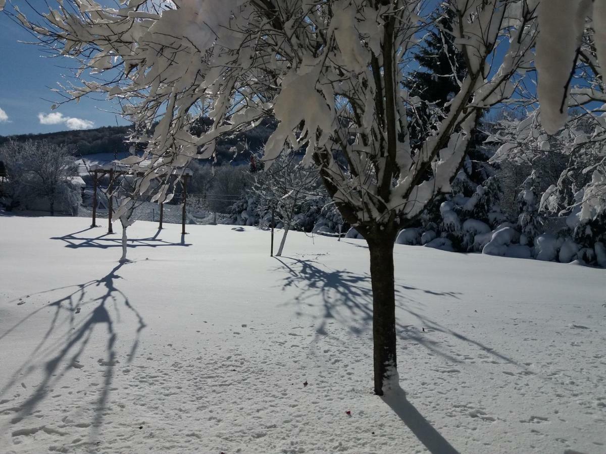 Apartament Goizeder Espinal-Auzperri